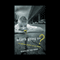 What's Going On?: The Emerging Trouble on the Horizon (Unabridged)