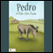 Pedro of Palo Alto Farm (Unabridged) audio book by Ruby Cavanaugh Koerper