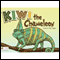 Kiwi the Chameleon (Unabridged) audio book by Suzanne Fedi Hagan