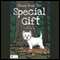 Danny Finds His Special Gift (Unabridged) audio book by Barbara Falkenrath