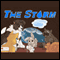 The Storm (Unabridged) audio book by Cheryl Woodard