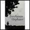 Treehouse Orphans audio book by Dorothy Burgess Greimann