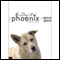 According to Phoenix (Unabridged) audio book by Sondra Gray