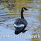 Larry Lives Forever: A Story to Help Children Cope with Loss (Unabridged) audio book by Mike Struck