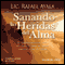 Sanando las Heridas del Alma: El Verdadero Concepto del Perdon para Alcanzar Libertad y Paz Interior audio book by Rafael Ayala