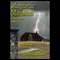 Magnetic Mansion (Unabridged) audio book by Forrest Haskell