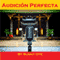 Audicion Perfecta and Excelente Performance Musical (Unabridged) audio book by Sunny Oye