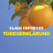 Todeserklrung audio book by Klaus Erfmeyer