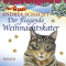 Der fliegende Weihnachtskater audio book by Andrea Schacht