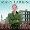 Shades of Deceit (Unabridged) audio book by Mary Larkin