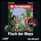 Fluch der Maya (Die Baadingoo Feriendetektive) audio book by Ulf Blanck