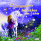 Im Zeichen des Lichts (Sternenschweif 26) audio book by Linda Chapman