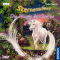 Die Magie der Sterne (Sternenschweif 31) audio book by Linda Chapman