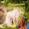 Lauras Rettung (Sternenschweif 32) audio book by Linda Chapman