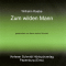 Zum wilden Mann audio book by Wilhelm Raabe