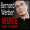Meurtre dans la brume audio book by Bernard Werber