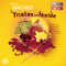 Tristan und Isolde (Oper erzhlt als Hrspiel mit Musik) audio book by Richard Wagner
