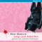 Jungs zum Anbeien (Jungs zum Anbeien 1) audio book by Mari Mancusi