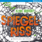 Spiegelriss (Spiegelkind 2) audio book by Alina Bronsky