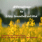 Affirmationen fr Erfolg, Gesundheit und Glck audio book by Christa Graves