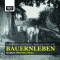Bauernleben. Vom alten Leben auf dem Land