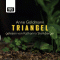 Triangel audio book by Anne Goldmann
