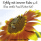 Erfolg mit innerer Ruhe 4-6 (Das groe Paul-Fleiter-Set) audio book by Paul Fleiter