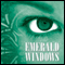 Emerald Windows (Unabridged) audio book by Terri Blackstock