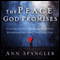 The Peace God Promises: Closing the Gap Between What You Experience and What You Long For (Unabridged) audio book by Ann Spangler