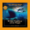 Flugzeug Ohne Flgel (Dr. Brockers Weltraumabenteuer 3) audio book by Hanno Herzler