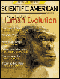 Human Evolution: Scientific American Special Edition