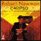 Apocalypso Now: Or From P45 to AK47, How to Grow the Economy with the Use of War audio book by Robert Newman