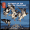 Sounds of the British Coastline: A Journey in Sound Along the Shores of Britain (Unabridged) audio book by Cheryl Tipp