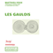 Les Gaulois audio book by Matthieu Poux