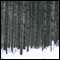 Creating a Good Future: Linji Plants Pines audio book by John Daido Loori, Roshi