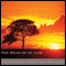 The Meaning of Life: Bell Sound and Priest's Robe audio book by Geoffrey Shugen Arnold