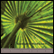 Embrace Harmony: Elder ting stands motionless audio book by Konrad Ryushin Marchaj