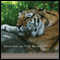 Resting in the Moment: Tung shan's Cold and Heat audio book by Konrad Ryushin Marchaj