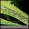 Medicine and Sickness Heal Each Other: Yunmen's Medicine and Sickness Subdue Each Other audio book by Geoffrey Shugen Arnold