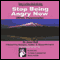 Stop Being Angry Now (Hypnosis) audio book by Janet Hall