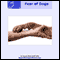 Overcome Fear of Dogs: Stay Calm Relaxed and in Control Around Dogs (Unabridged) audio book by Darren Marks