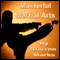 Masterful Martial Arts audio book by Darren Marks