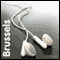 City Highlights Brussels (Unabridged) audio book by iAudioguide