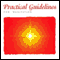 Practical Guidelines for Meditation audio book by Sister Jayanti