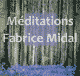 Mditations audio book by Fabrice Midal