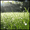 Guided Meditation for Early Rising: Wake Up Early, Morning Person, Energy & Motivation, Silent Meditation, Self Help Hypnosis & Wellness audio book by Val Gosselin