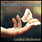 Guided Meditation for Natural Pain Relief: Headache Relief, Muscle Pain & Soreness, Sports Injuries, Silent Meditation, Self Help Hypnosis & Wellness audio book by Val Gosselin