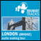 Tourist Tracks London Bridge MP3 Walking Tour: An Audio-guided Walking Tour (Unabridged) audio book by Tim Gillett