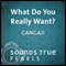What Do You Really Want?: Insights on the Path of Self-Inquiry audio book by Gangaji
