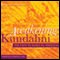 Awakening Kundalini: The Path to Radical Freedom audio book by Lawrence Edwards